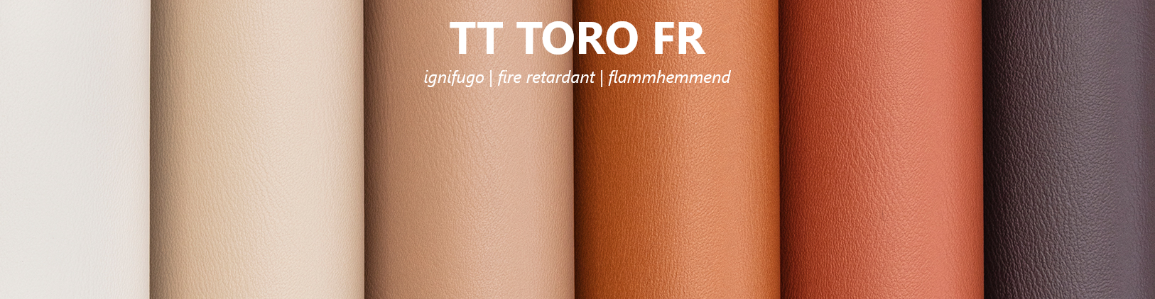 TT TORO FR